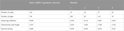 Construction of a circRNA– lincRNA–lncRNA–miRNA–mRNA ceRNA regulatory network identifies genes and pathways linked to goat fertility